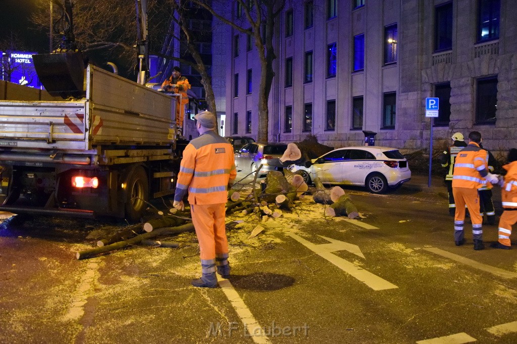 Baum auf PKWs Koeln Mitte Rheinuferstr Goldgasse P022.JPG - Miklos Laubert